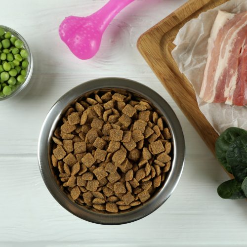 Concept of organic pet food on wooden background