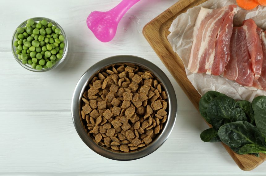 Concept of organic pet food on wooden background