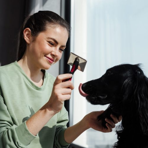 Happy brunette woman grooming her dog