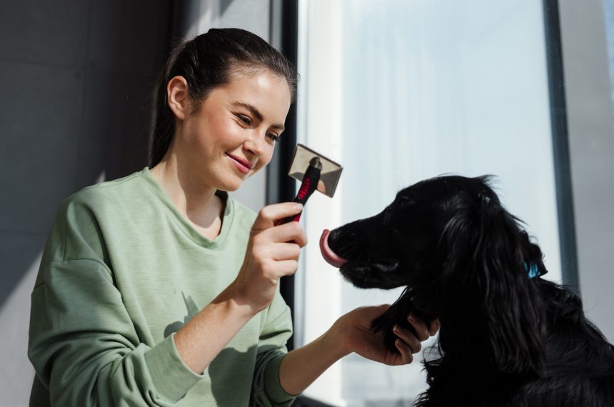 Happy brunette woman grooming her dog