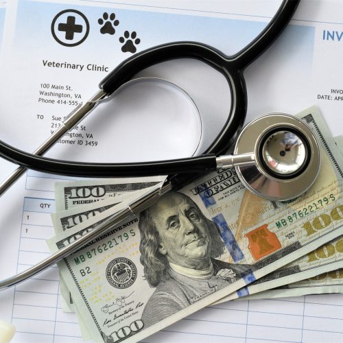 Medical, care cost of pets, cats, dogs, house pet, animals, veterinarian visits medicine, vet clinic