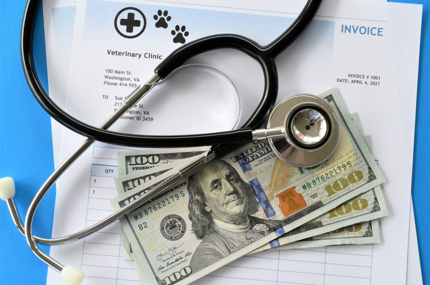 Medical, care cost of pets, cats, dogs, house pet, animals, veterinarian visits medicine, vet clinic